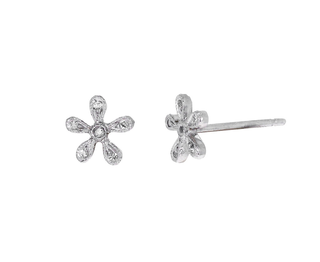 Tiny Daisy Posts